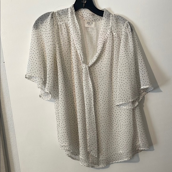 Sheer White Polka Dot Blouse - Picture 1 of 9